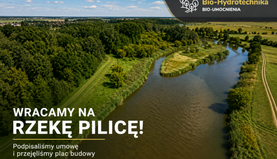 pilica